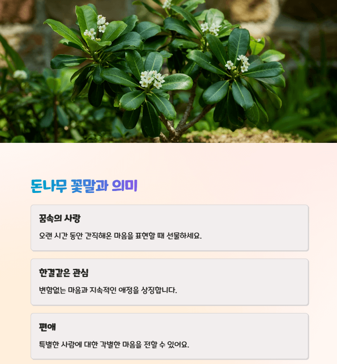 돈나무 꽃