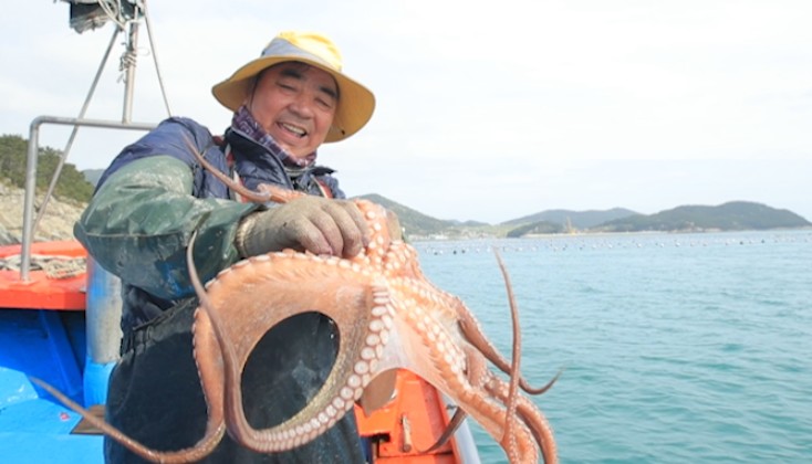 문어잡이