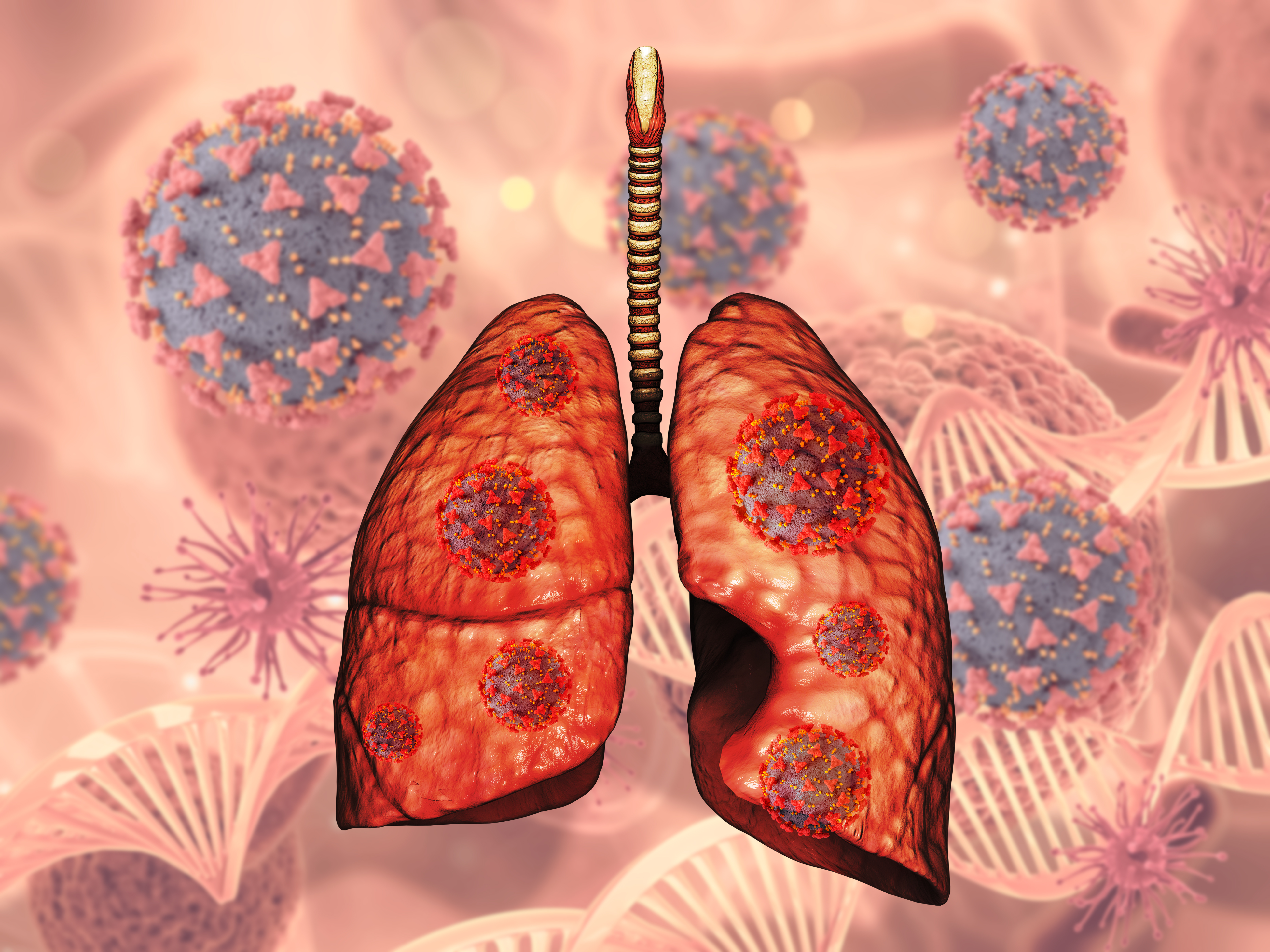 3d-render-medical-background-with-lungs-covid-19-virus-cells