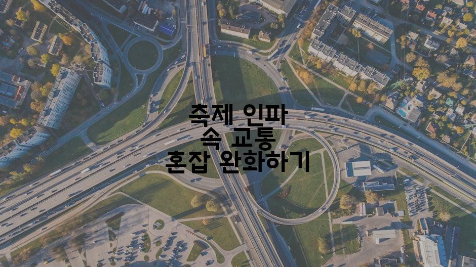 축제 인파 속 교통 혼잡 완화하기