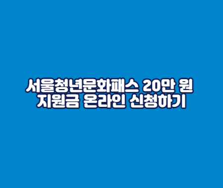 서울청년문화패스 20만 원 지원금 온라인 신청하기