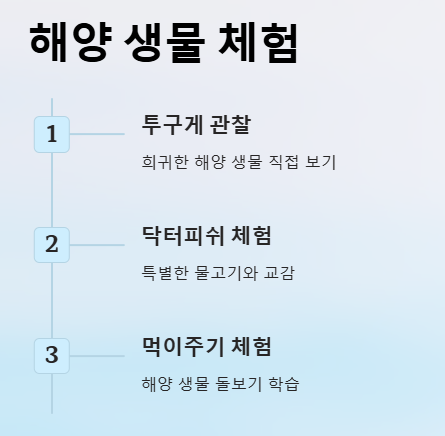 부산 명지 아쿠아 키즈카페 아쿠아플레이하우스