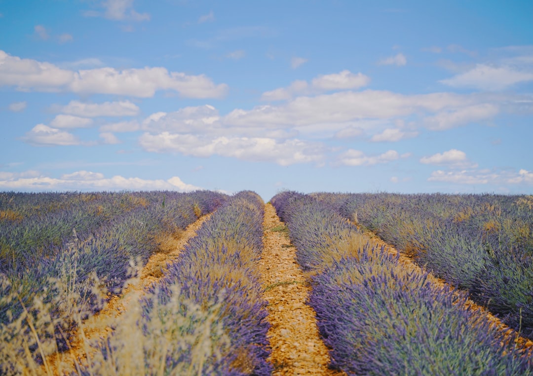 Provence