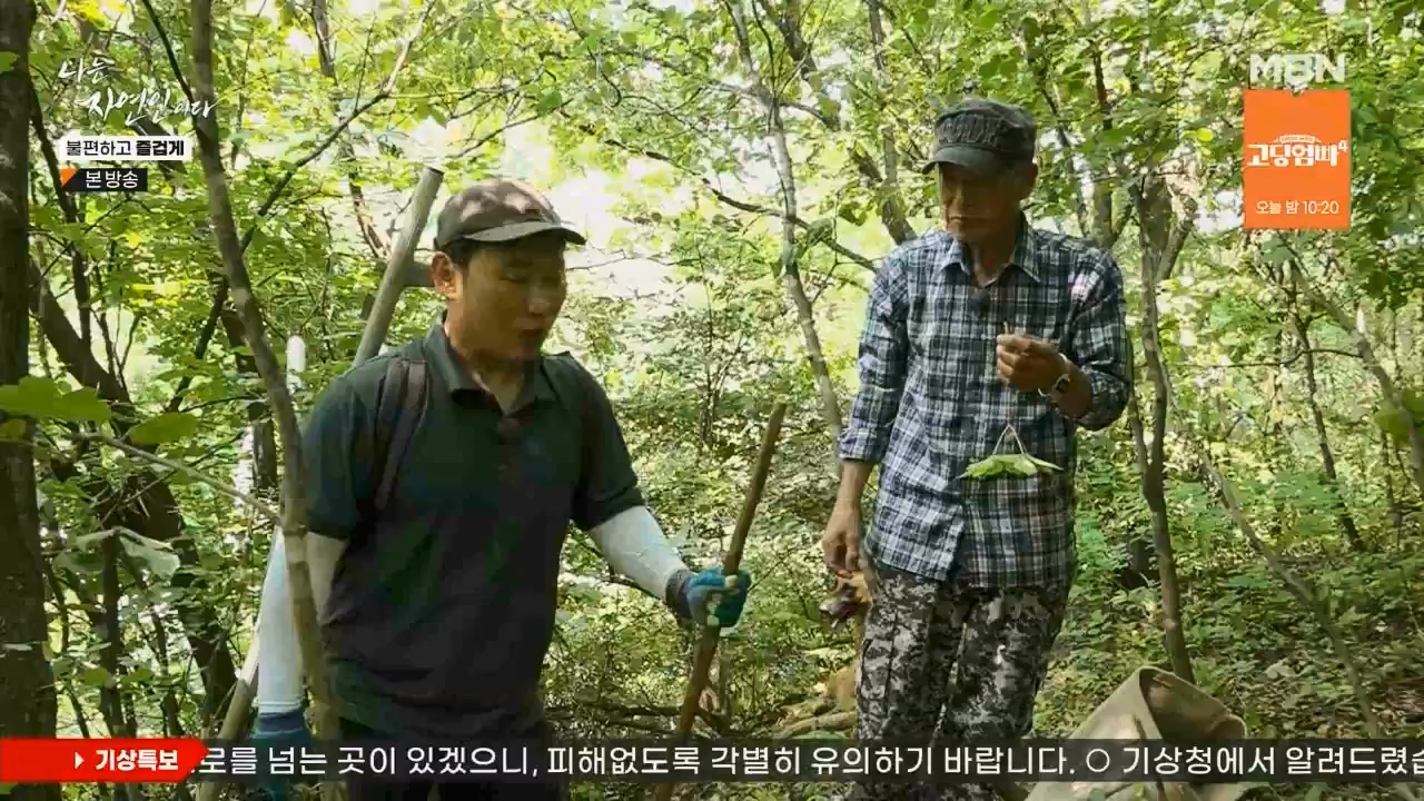 나는 자연인이다.E566.230810p.WANNA.mp4_20230810_202557.756.jpg