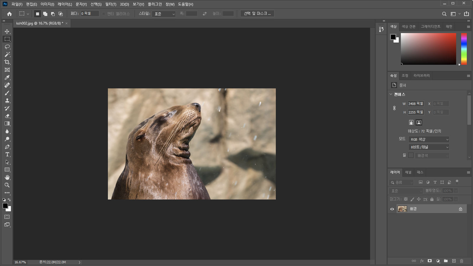 이미지가 잘린 모습