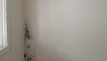  곰팡이냄새제거방법 저만 알고있기 아까운게;;