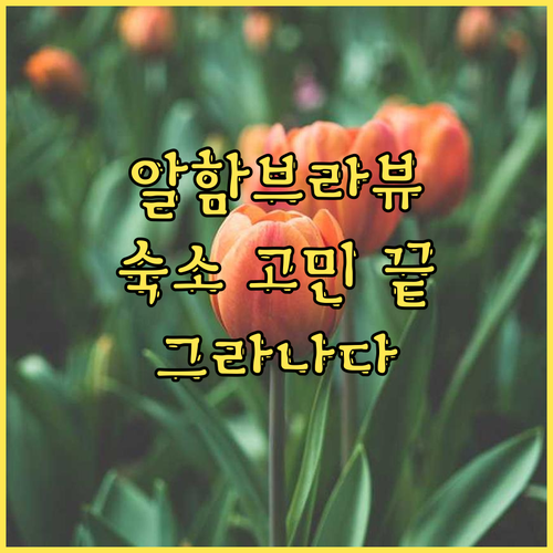 알함브라 궁전 뷰 맛집 호텔! 그라나