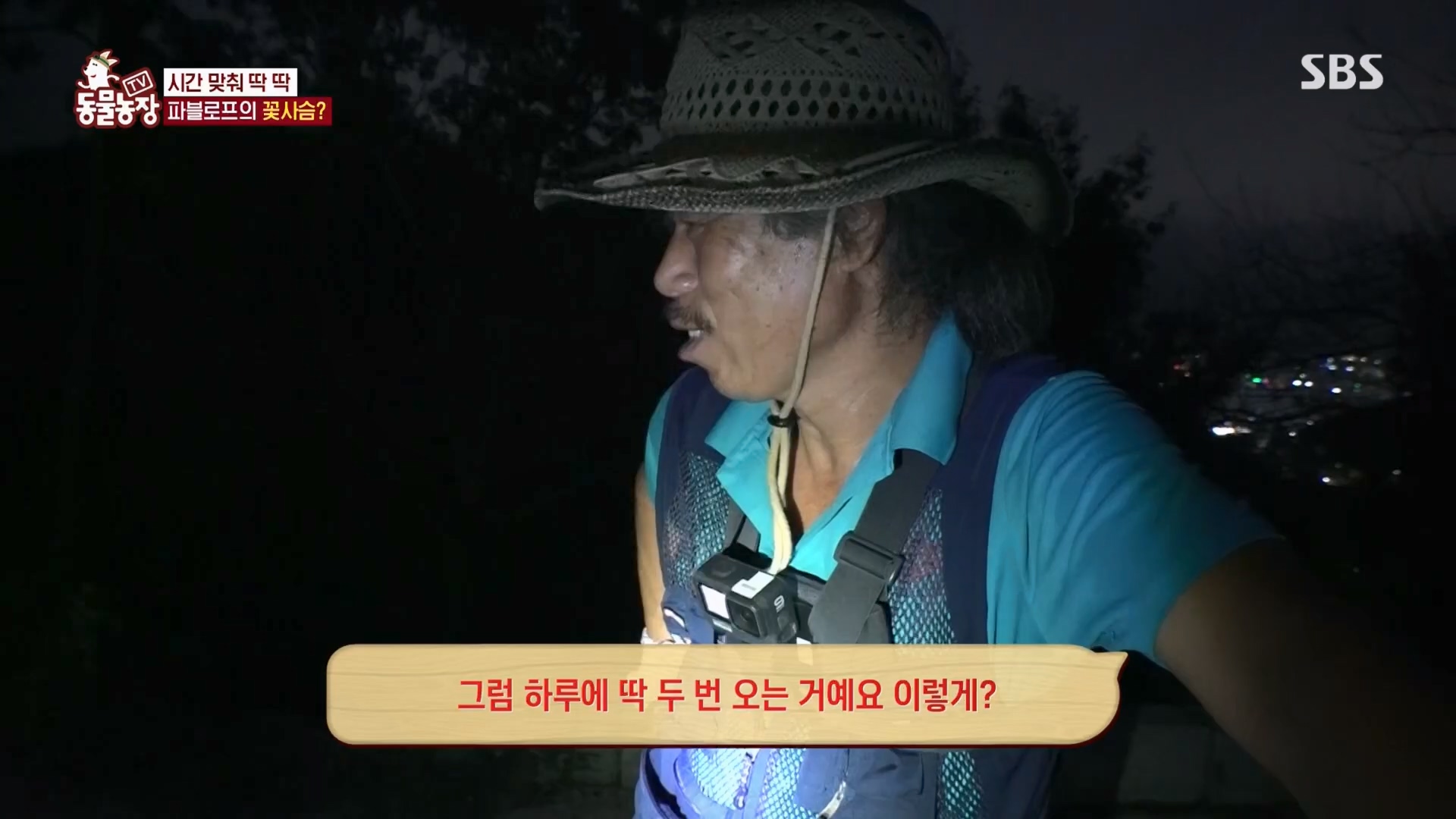 TV 동물농장.E1139.230924p.H264-F1RST.mp4_20230924_172349.351.jpg