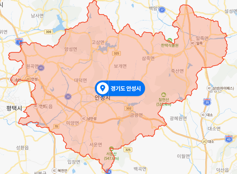  경기 안성시 대덕동 오피스텔 살인사건 (2020년 5월 사건)
