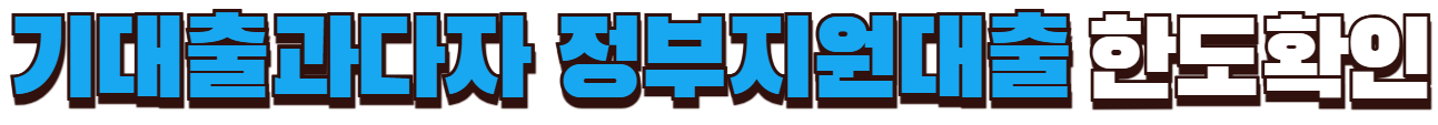 기대출과다자 정부지원 대출 한도확인