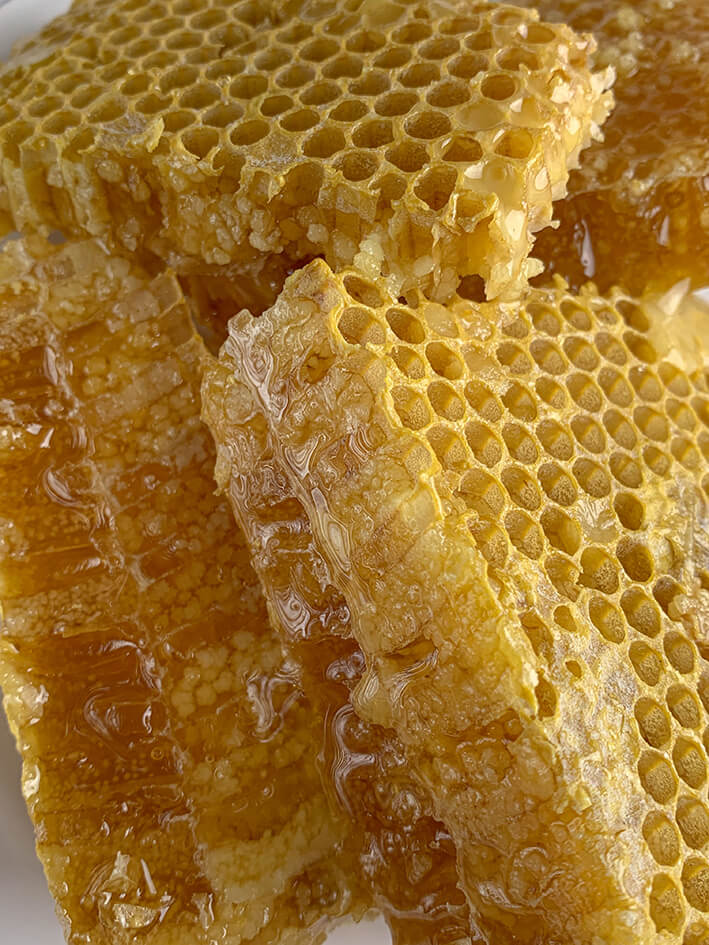 아가베 식물 아가베꿀 아가베시럽 꿀 차이점 용설란 꿀 감미료 혈당지수 항산화제