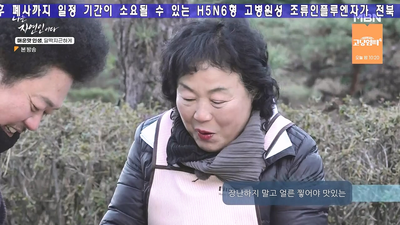 나는 자연인이다.E585.231221p-NEXT.mp4_20231221_195951.981.jpg