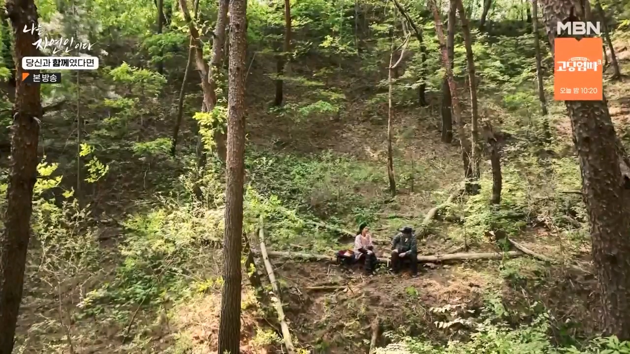 나는 자연인이다.E556.230532p-NEXT.mp4_20230601_201504.840.jpg
