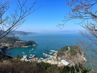 여수 향일암 가는 길 입장료 소요시간 코스_8