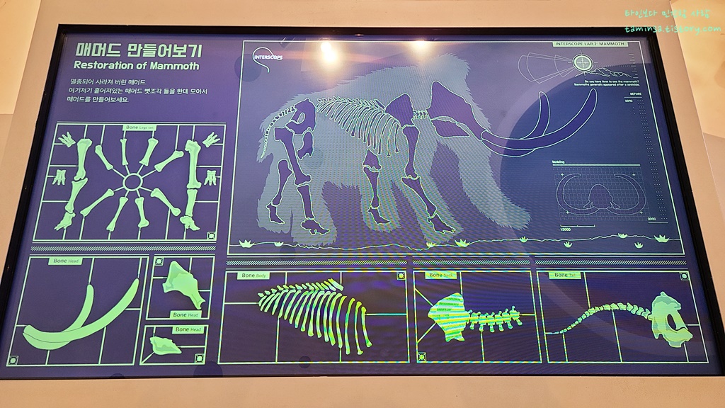 전곡 선사박물관 매머드