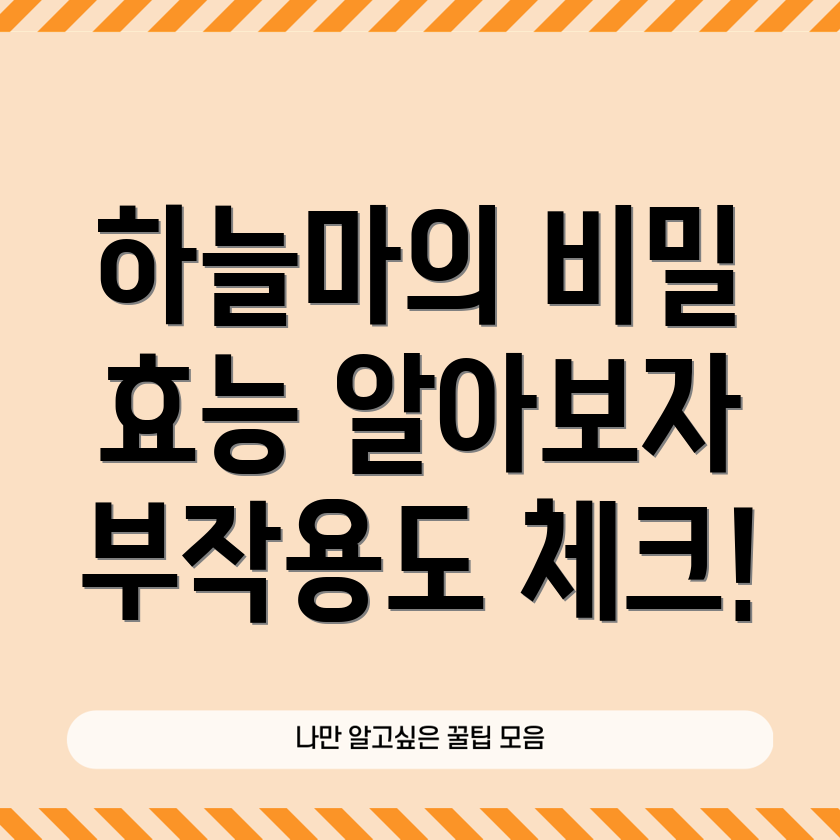 하늘마 효능