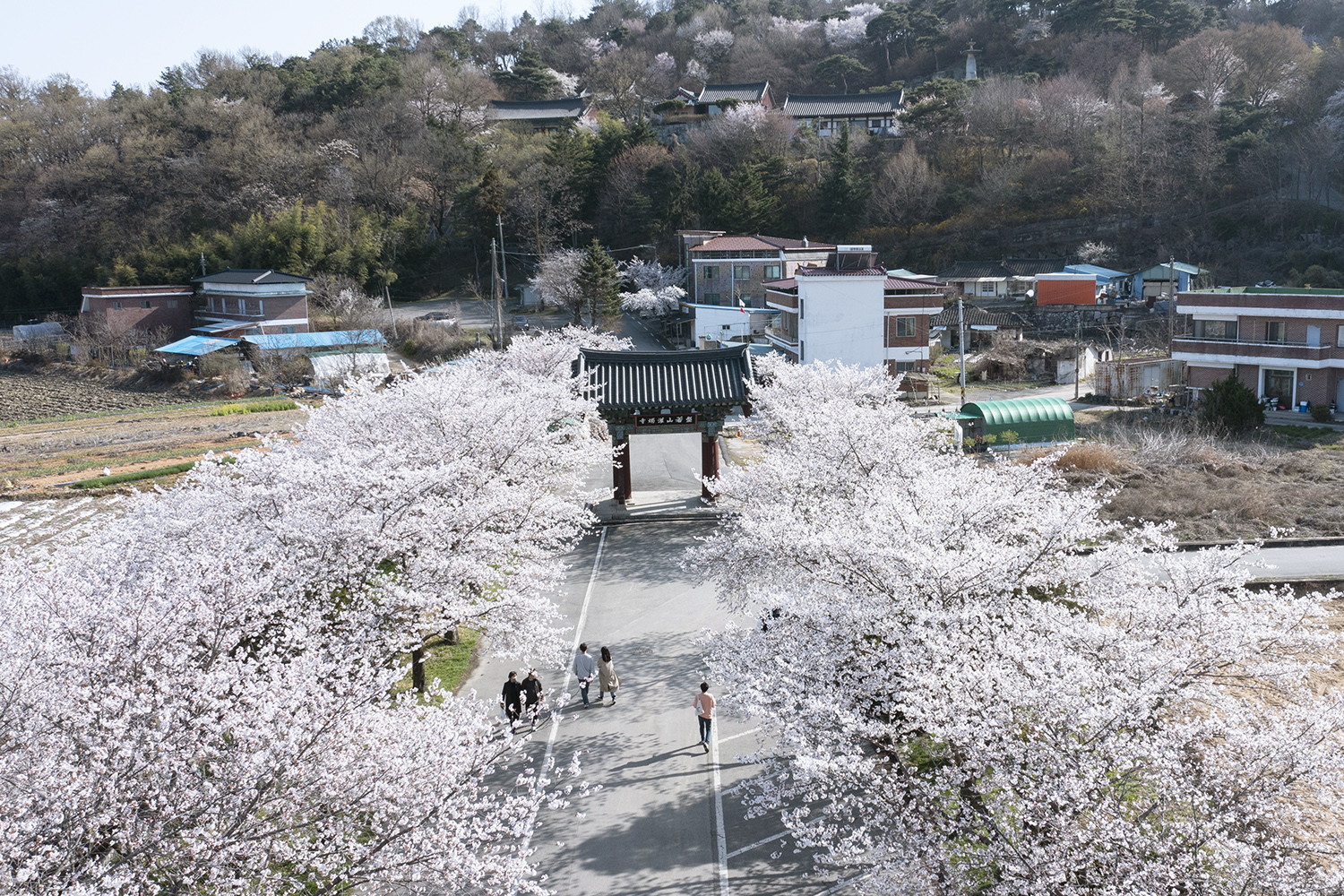 관촉사 은진미륵