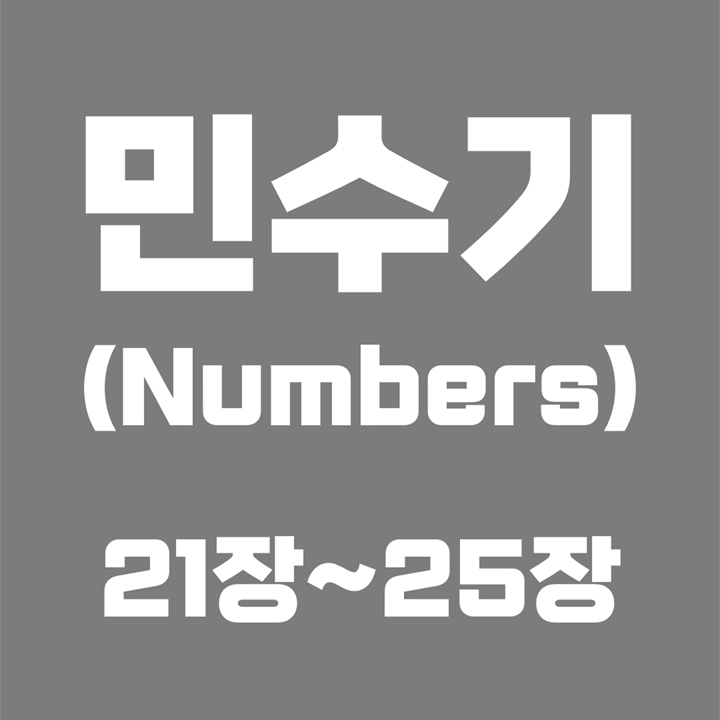  민수기 (Numbers) / 21장, 22장, 23장, 24장, 25장 / 성경 국문 영문 영어