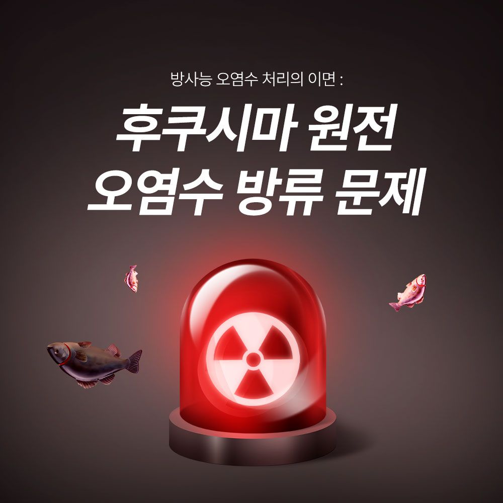  차별화된 웹디자인 솔루션으로 성공하는 비즈니스