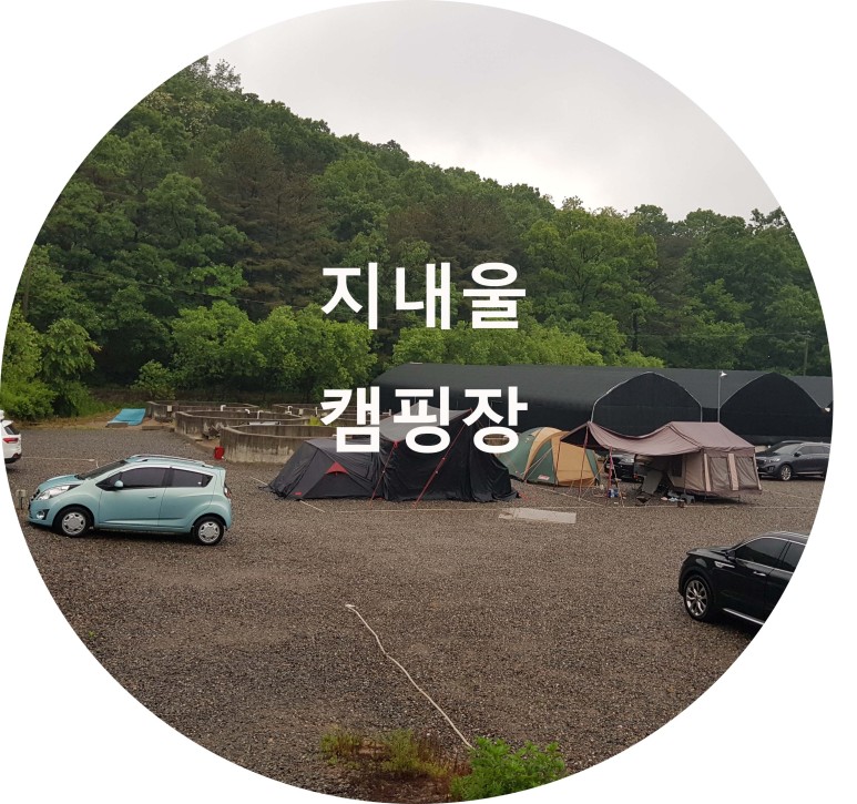 파주 지내울캠핑장 후기 & 소개 ( 사이트 간격 넓은~ 캠핑장)