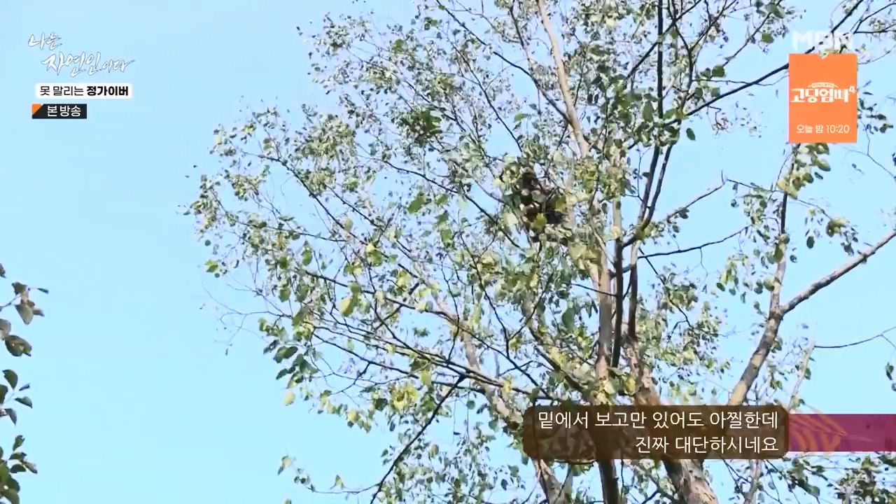 나는 자연인이다.E580.231116p-NEXT.mp4_20231116_202506.228.jpg