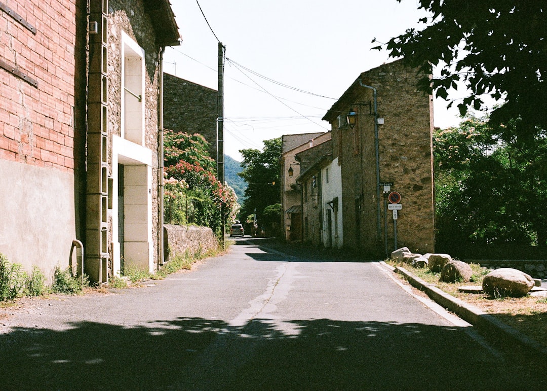 Monteroy
