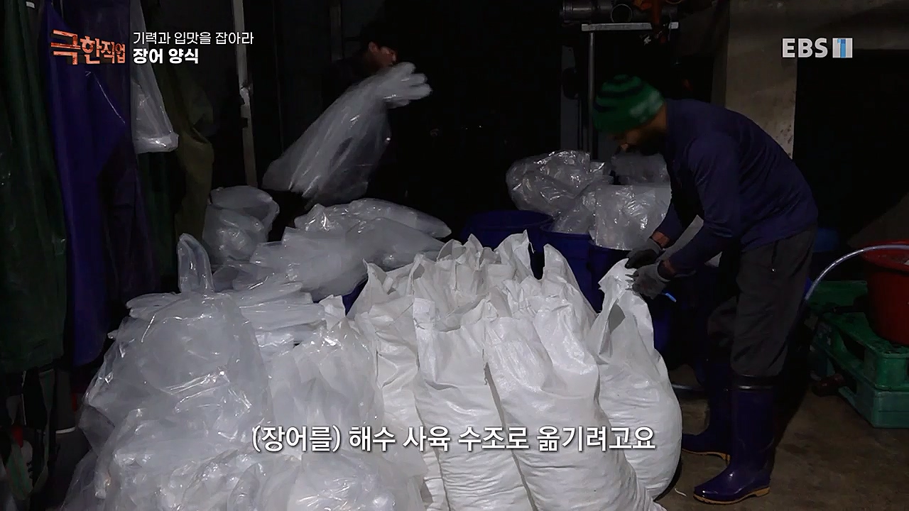 TV - 교육의 중심 EBS기력과 입맛을 잡아라 장어와 대게.mp4_20230313_183611.351.jpg