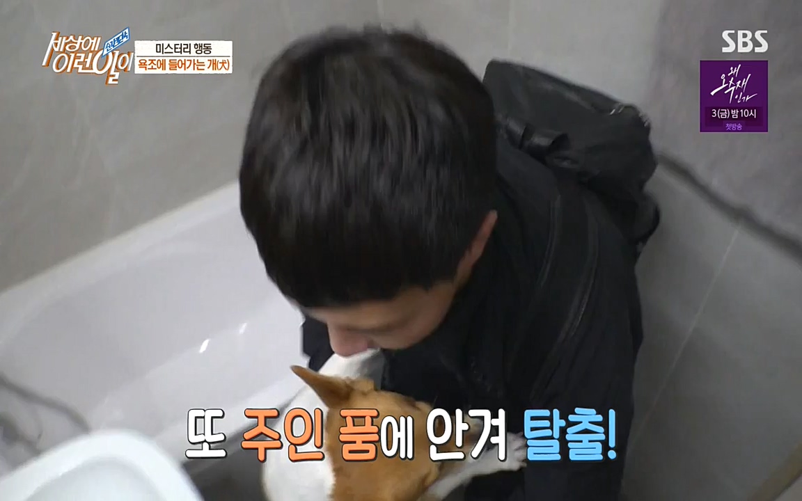 순간포착 세상에 이런일이.E1181.220525p-NEXT.mp4_20220525_202538.995.jpg