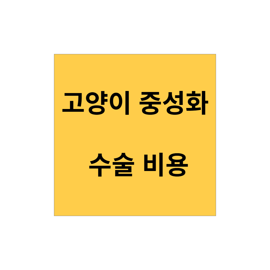 암컷 고양이 중성화