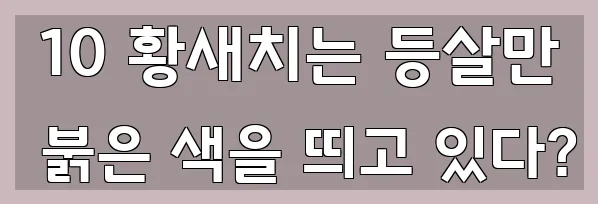  10 황새치는 등살만 붉은 색을 띄고 있다?