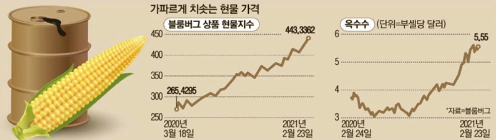 옥수수-가격변동