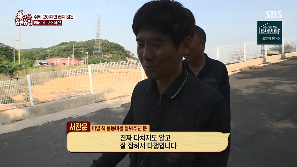 TV 동물농장.E1124.230611p.H264-F1RST.mp4_20230611_173539.940.jpg