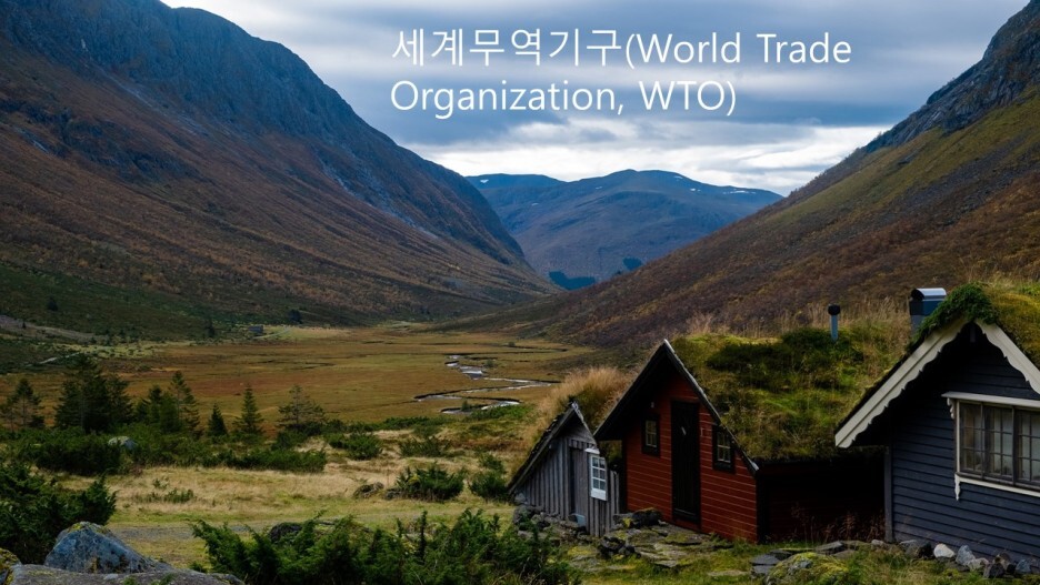  세계무역기구(World Trade Organization, WTO)