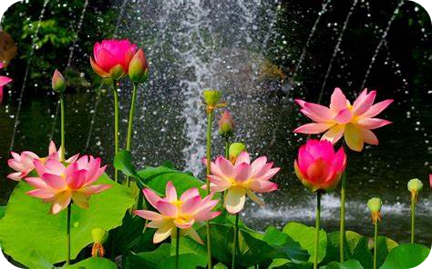 급할 때 부르는 성가 1