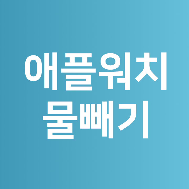  애플워치 물빼기 