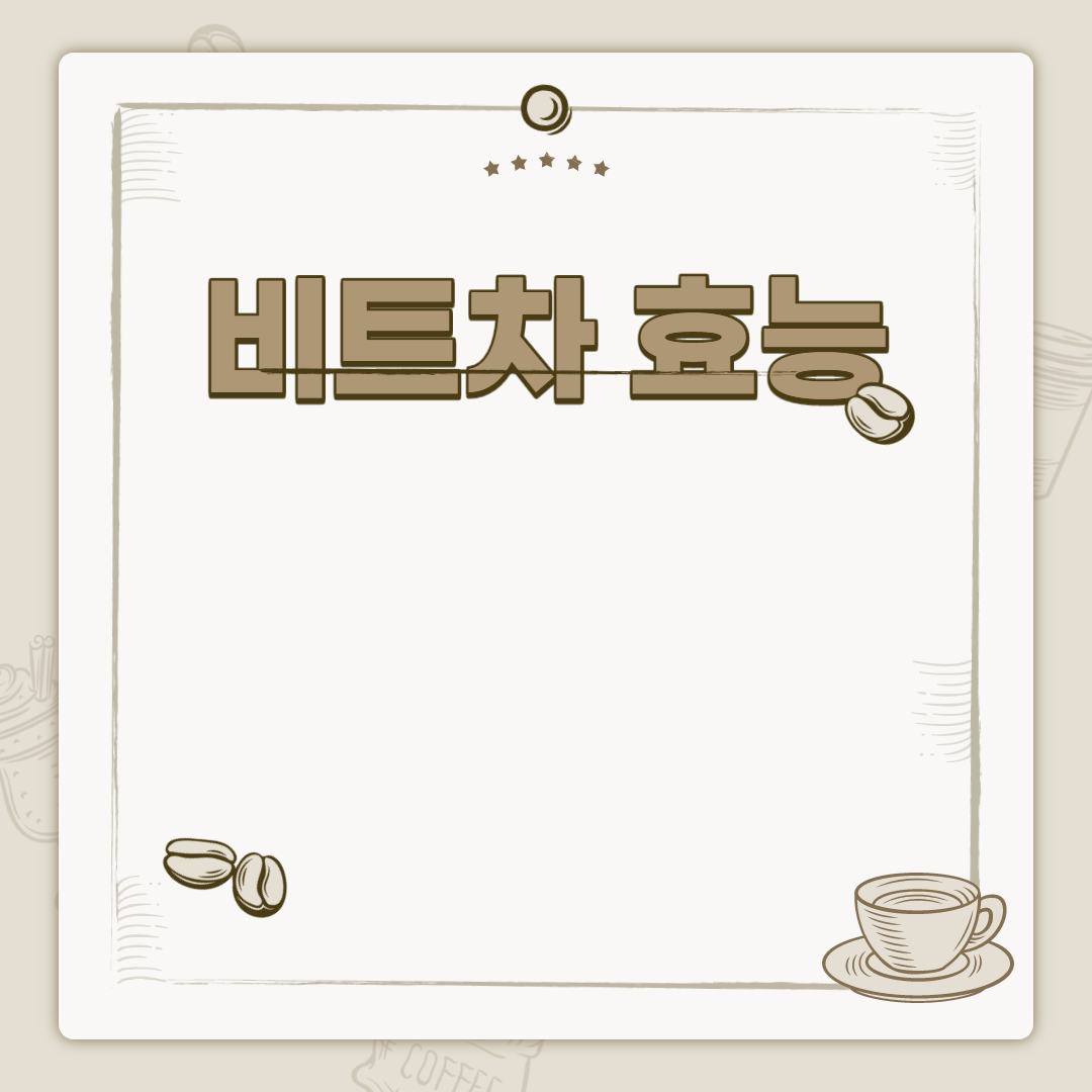  비트차 효능