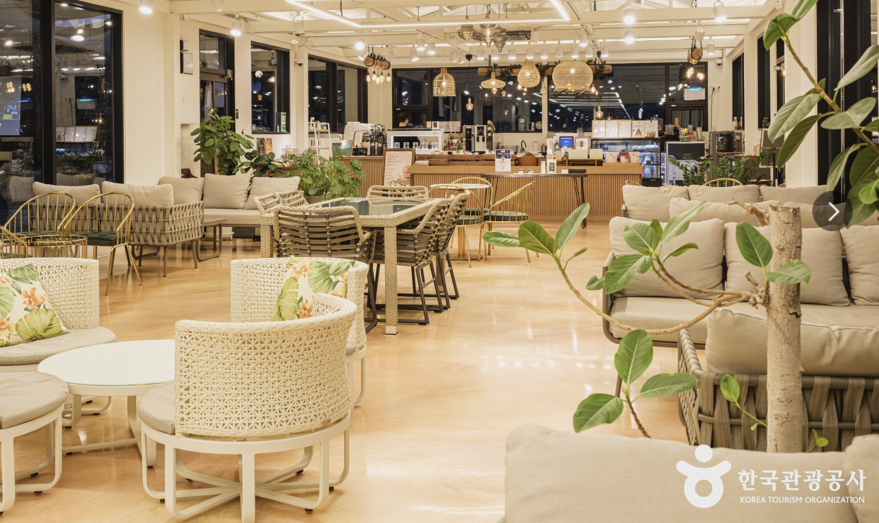 양산 카페백동 숲속