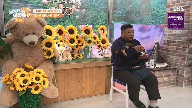 순간포착 세상에 이런일이.E1237.230716p-NEXT.mp4_20230716_174203.223.jpg