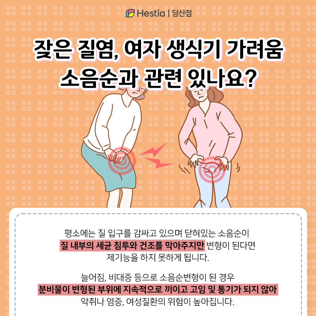 잦은 질염, 여자 생식기 가려움 소음순과 관련있나요?