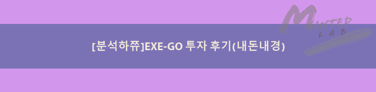  [EXE-GO] 투자 후기
