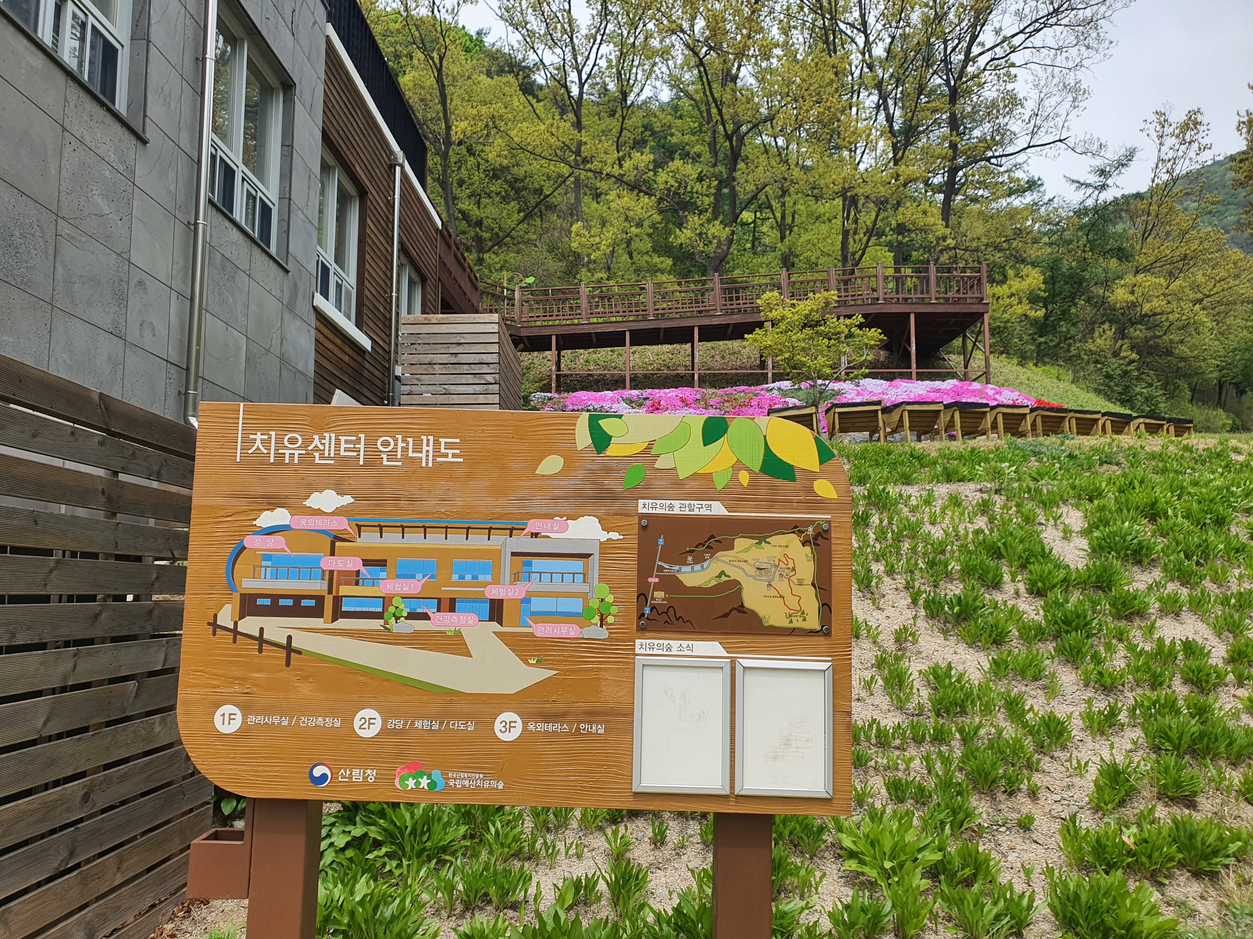 예산 치유의 숲, 자연 속에서 힐링 여행을 떠나보자
