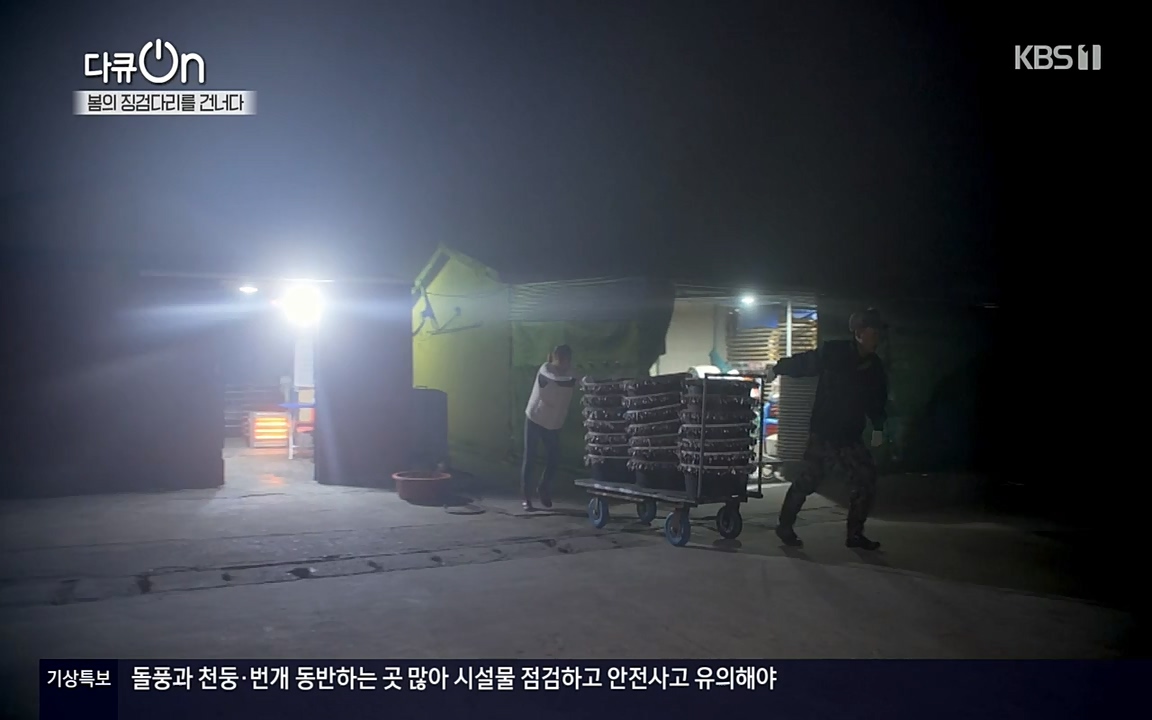다큐 온.E132.220326p-NEXT.mp4_20220403_181731.354.jpg