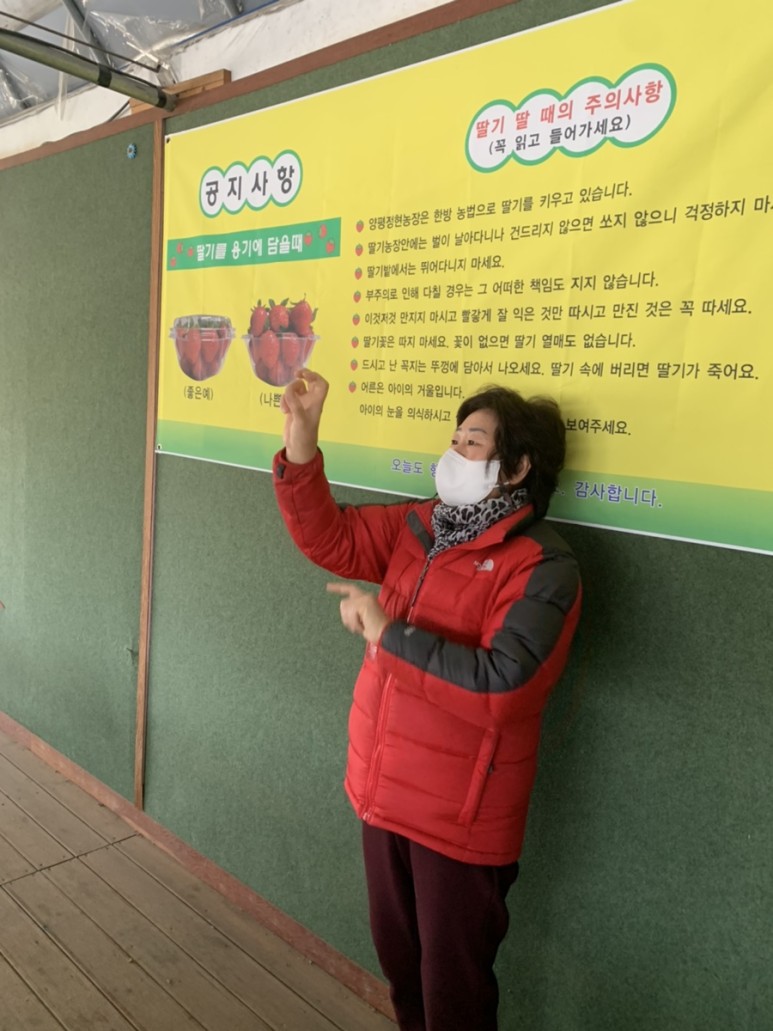 정현딸기농장, 32