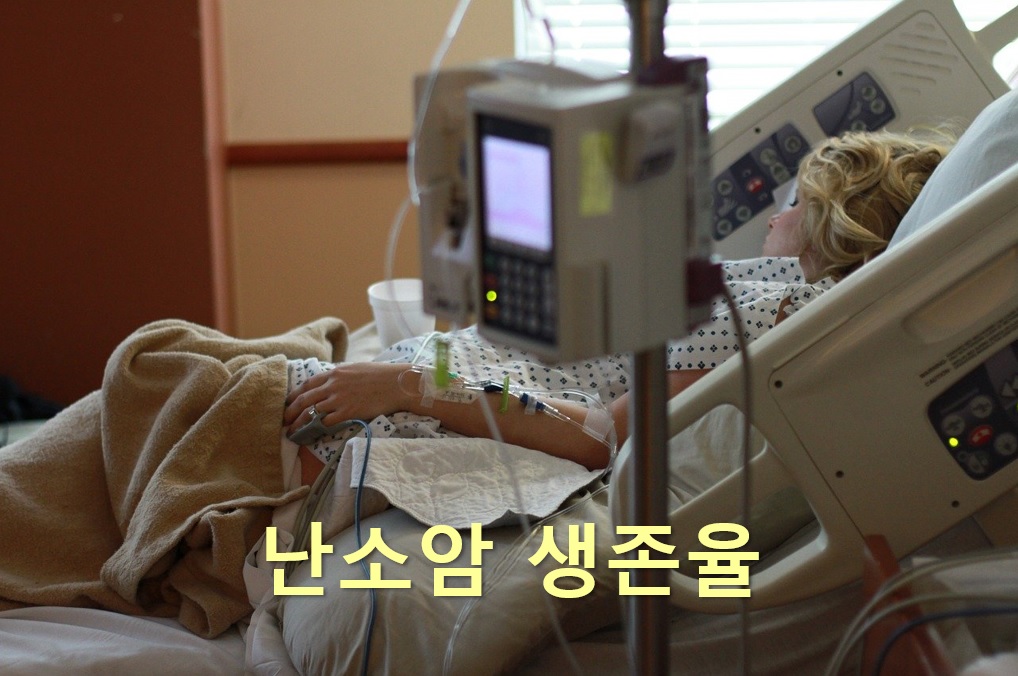  난소암을 진단하는 난소암 검사 방법