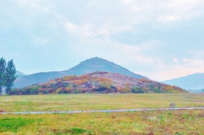 한성건재 이미지