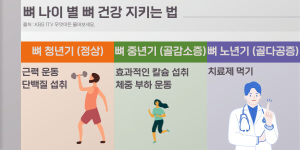 뼈 나이 별 뼈 건강을 지키는 법 근력 운동을 하고 단백질을 섭취하라