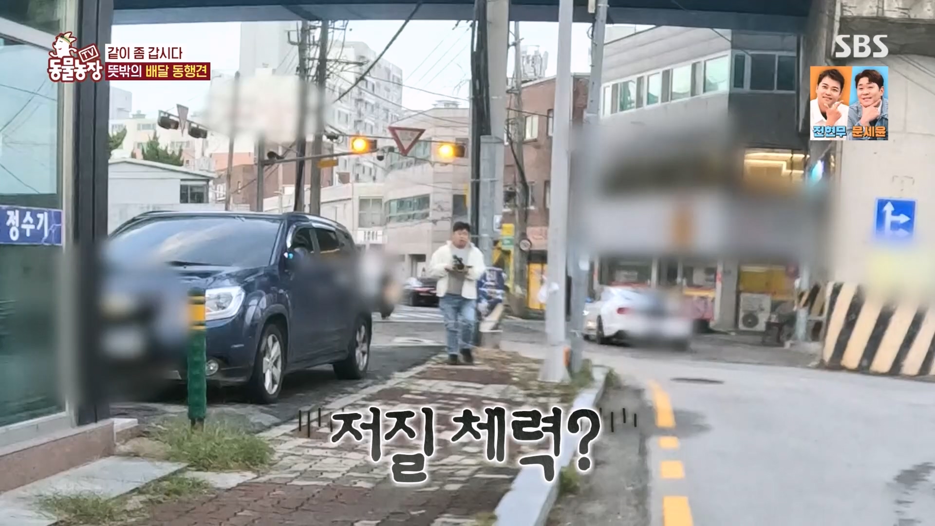 TV 동물농장.E1149.231210p.H264-F1RST.mp4_20231210_171110.808.jpg