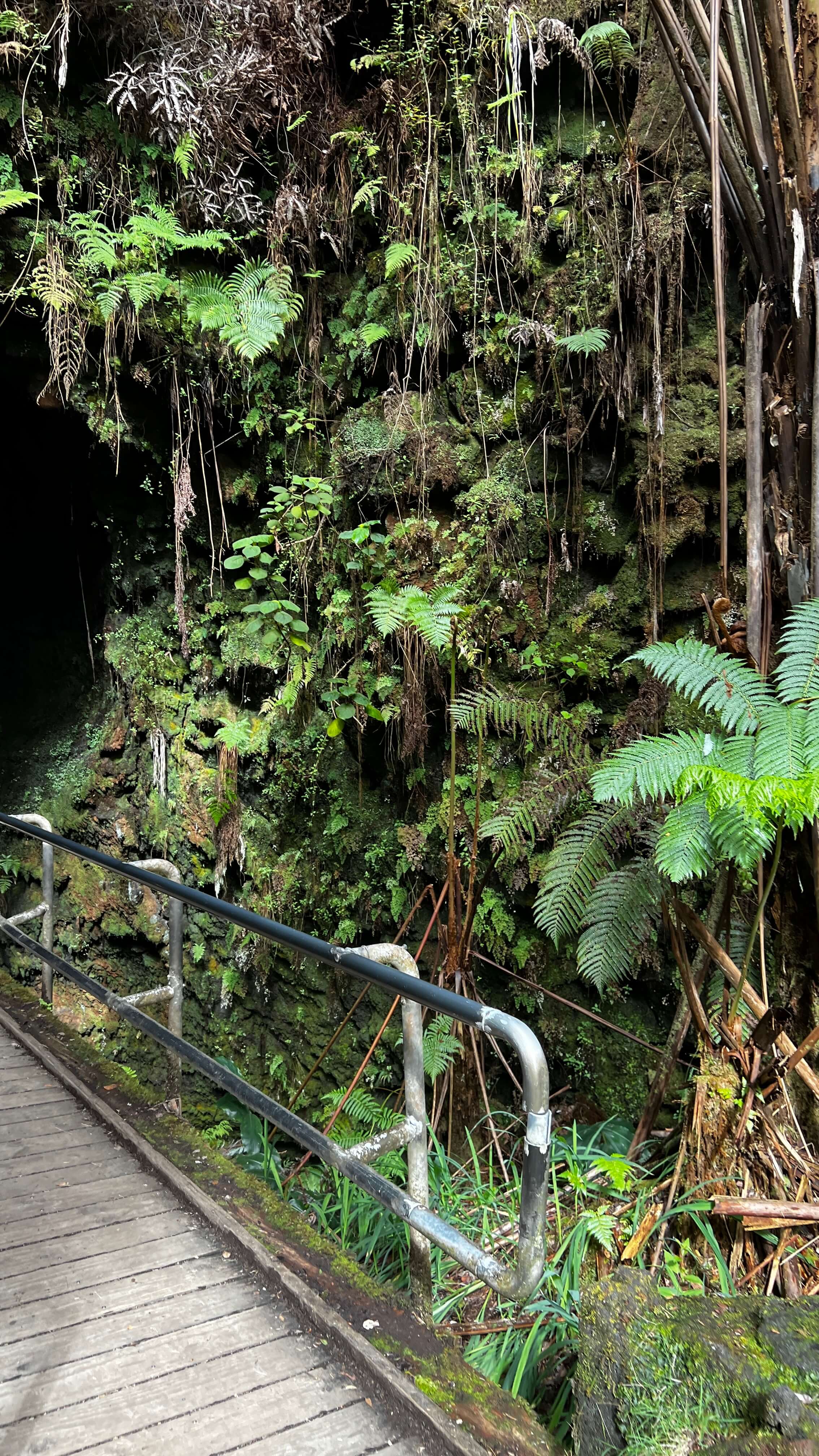 하와이 화산 국립공원