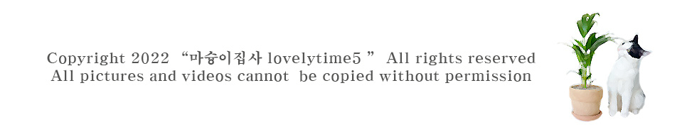 구냥이 고양이캔으로 네 건강관리해요 11