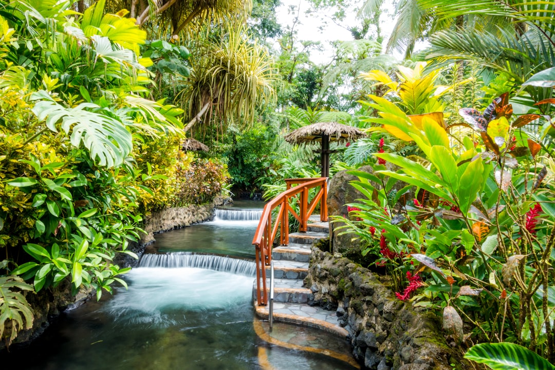 Hot spring